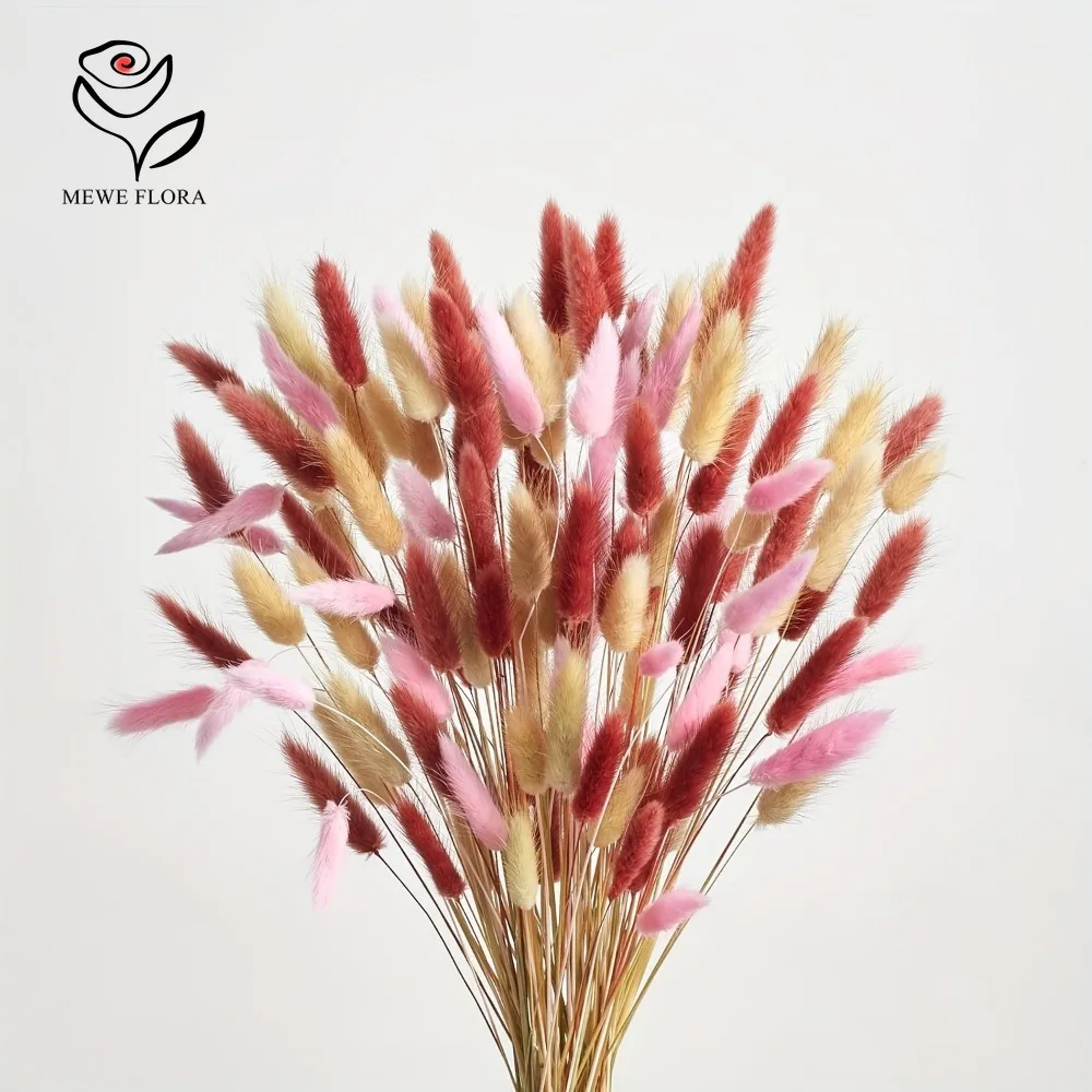 Dried Pampas Bundle - 90 stks Gemengde 3 Kleuren Bunny
