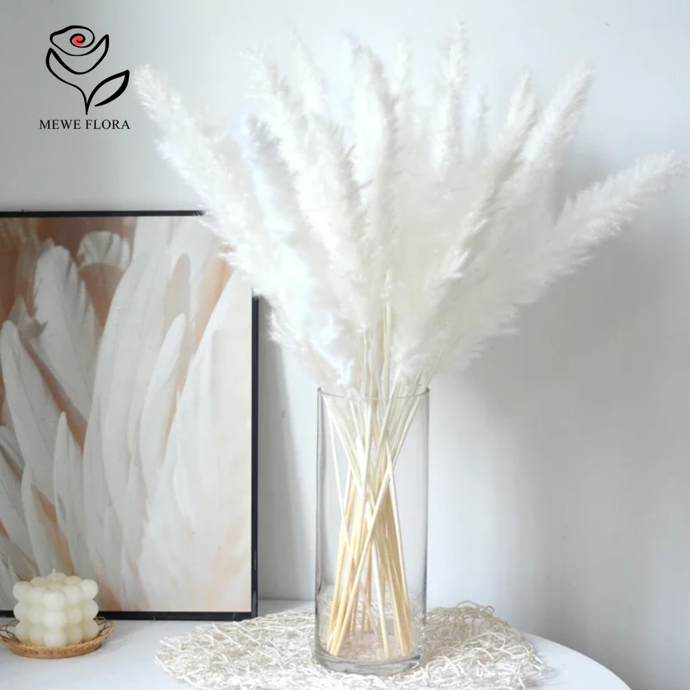 Dried Pampas Bundle - 20 stuks Pluizig Pampasgras Riet Gedroogde