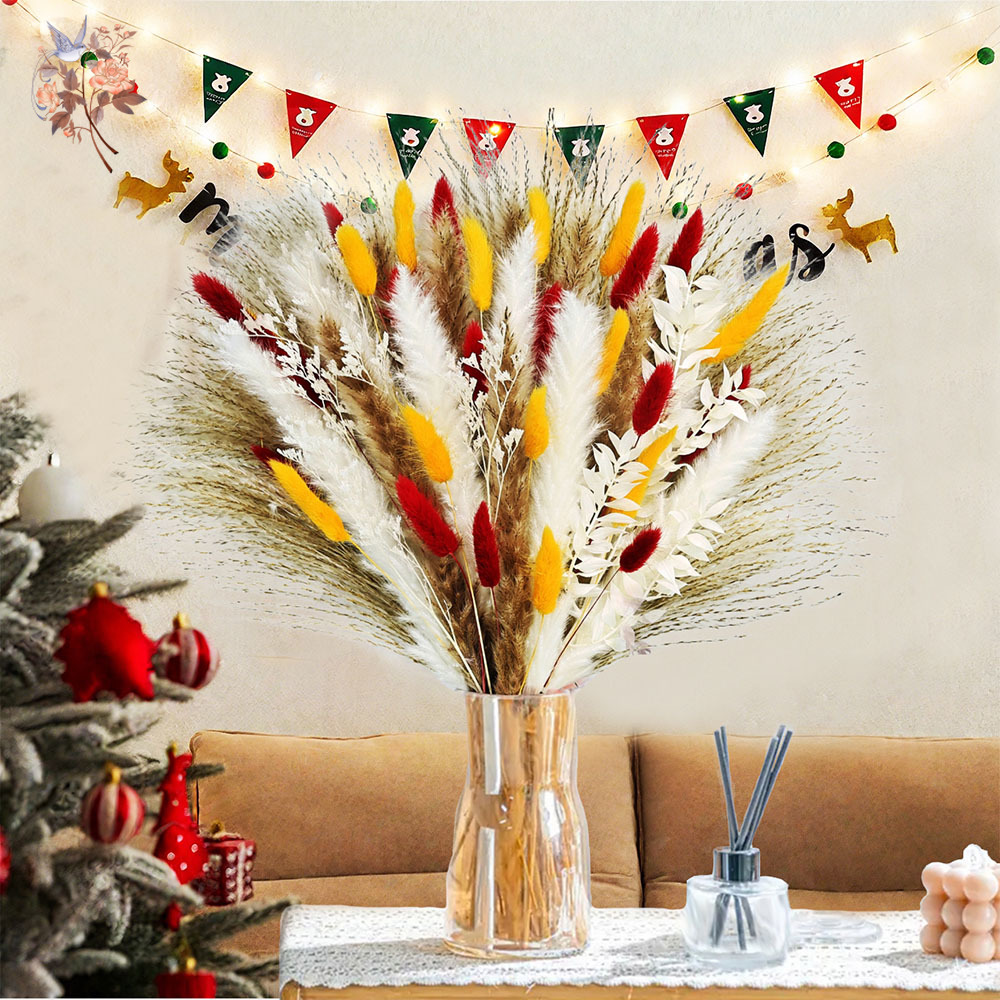 Dried Pampas Bundle - 70 Stengels Natuurlijke Pluizige Pampasgras Riet
