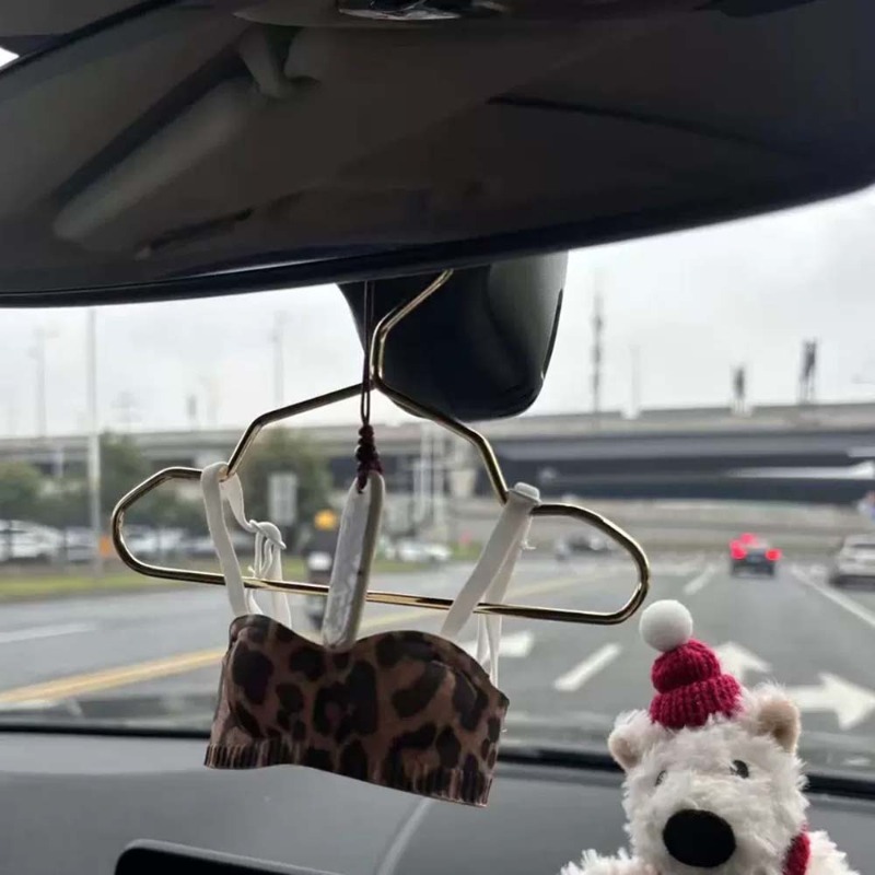 Mini Lingerie Auto-ornament, s - Interior Design Years recensie en prijs