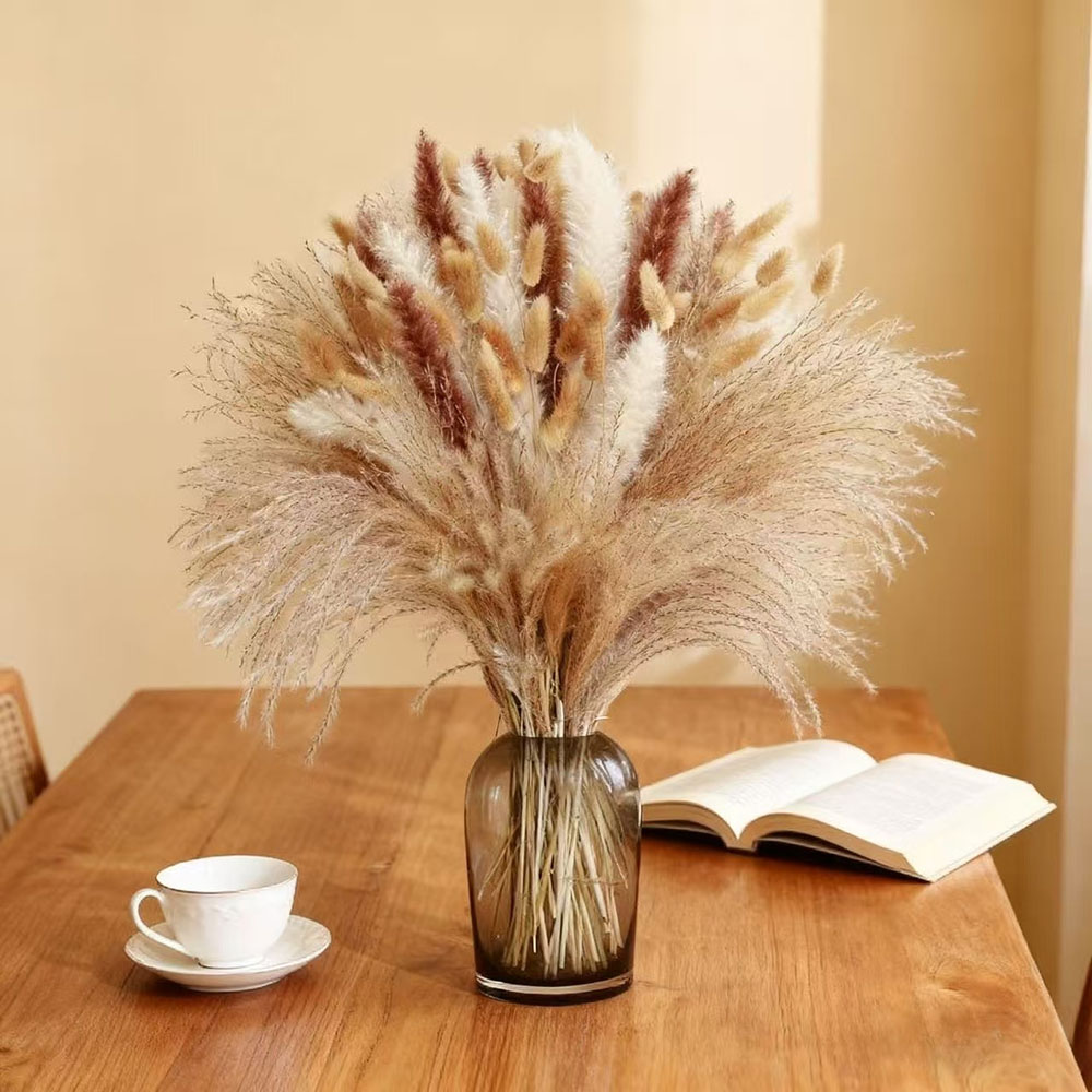 Natuurlijk gemengd gedroogd bl - Dried Pampas Bundle recensie en prijs