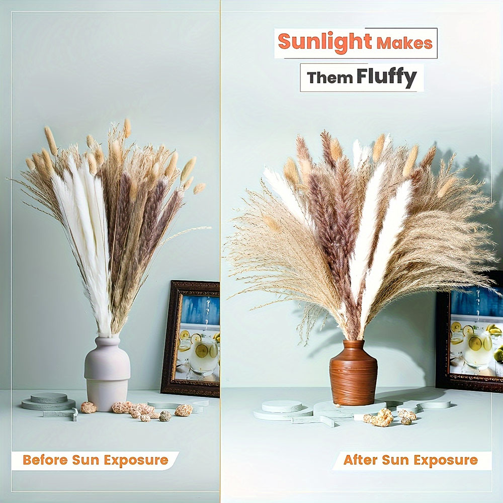 Natuurlijk gemengd gedroogd bl - Dried Pampas Bundle recensie en prijs