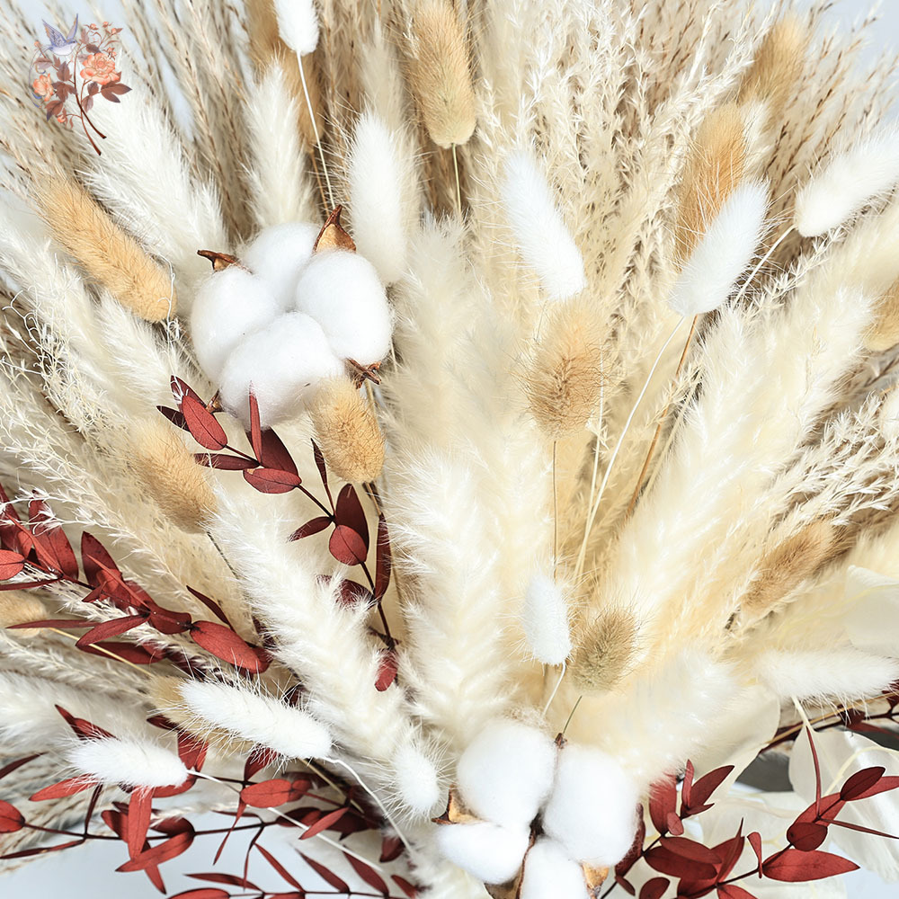 70 stks Gedroogde Pampas Bloem - Dried Pampas Bundle recensie en prijs