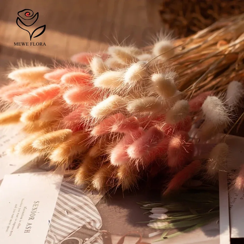 90 stks Gemengde 3 Kleuren Bun - Dried Pampas Bundle recensie en prijs