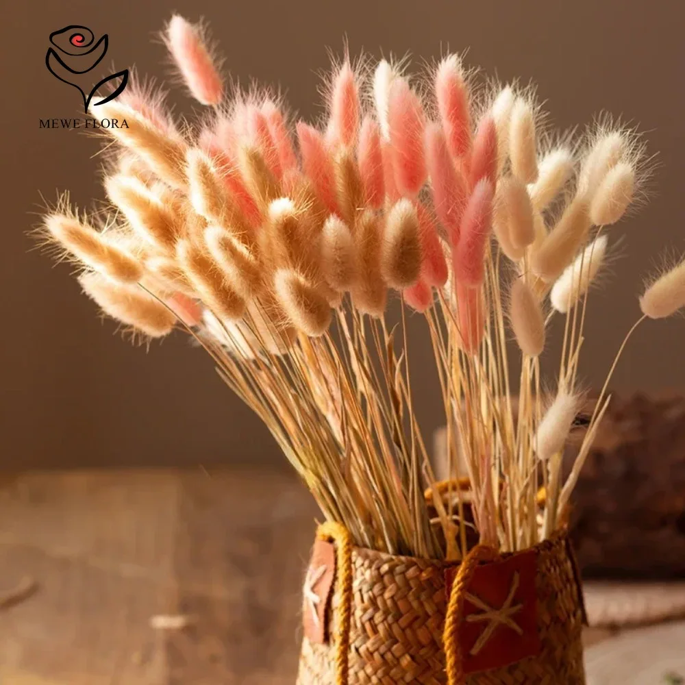 90 stks Gemengde 3 Kleuren Bun - Dried Pampas Bundle recensie en prijs
