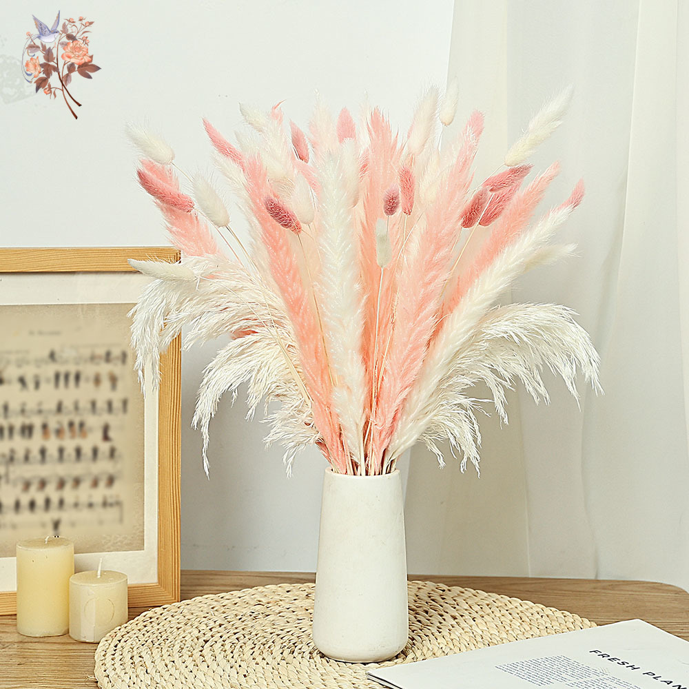 62 Stuks Wit Riet Roze Konijn  - Dried Pampas Bundle recensie en prijs