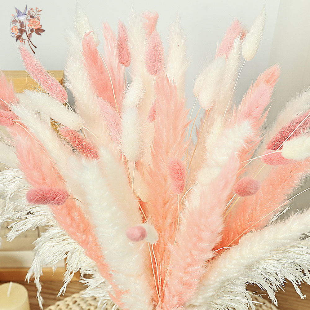 62 Stuks Wit Riet Roze Konijn  - Dried Pampas Bundle recensie en prijs