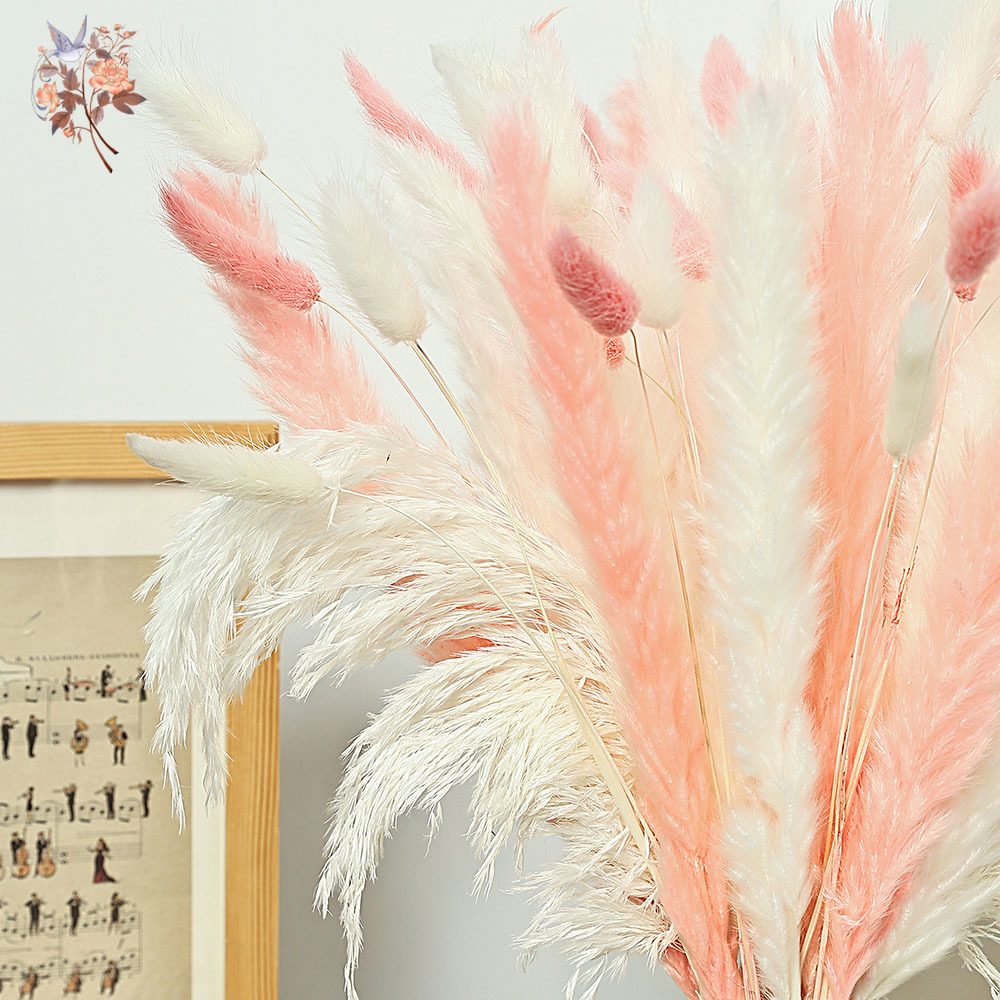 62 Stuks Wit Riet Roze Konijn  - Dried Pampas Bundle recensie en prijs