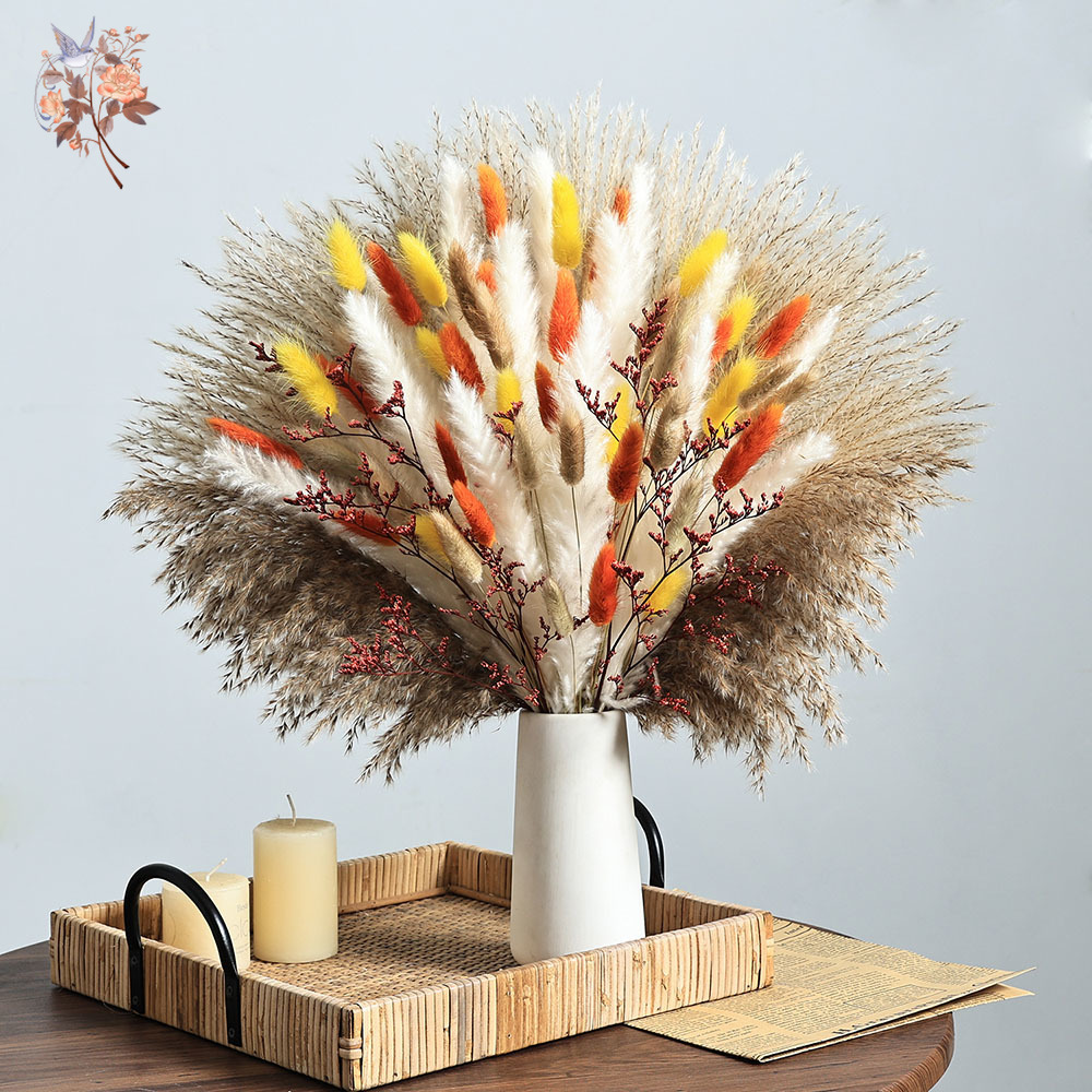 85 stuks natuurlijke pluizige  - Dried Pampas Bundle recensie en prijs