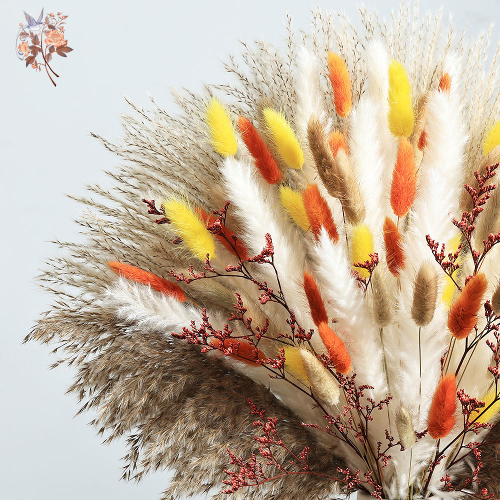85 stuks natuurlijke pluizige  - Dried Pampas Bundle recensie en prijs