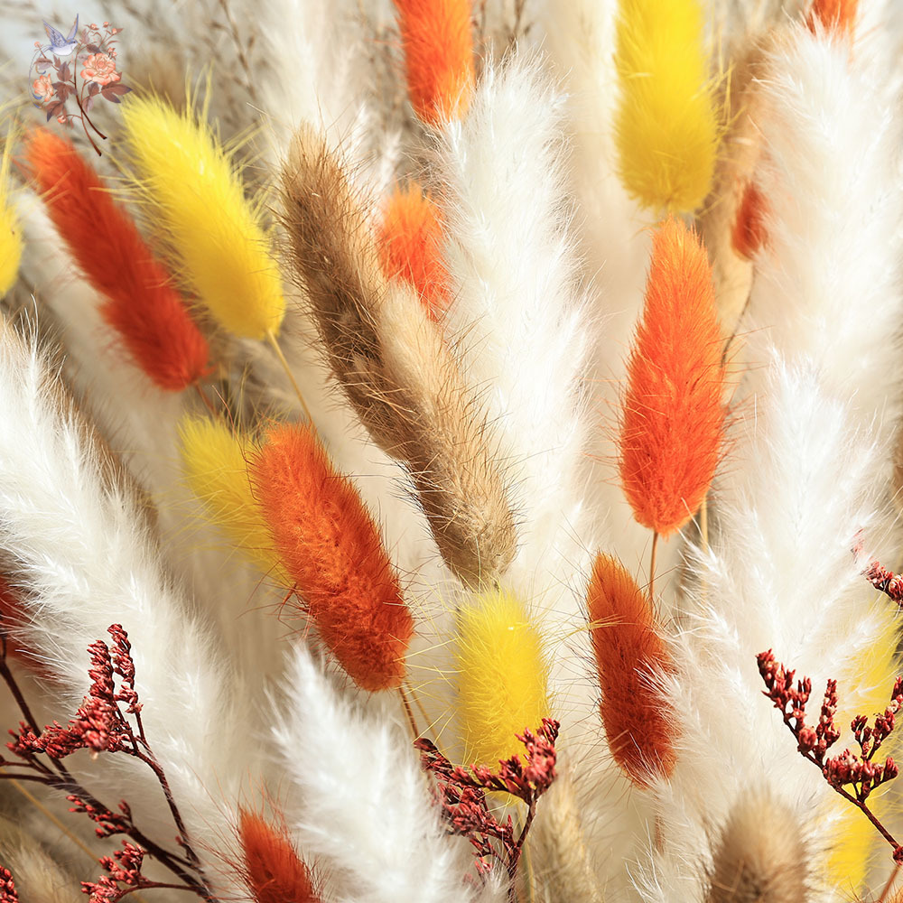 85 stuks natuurlijke pluizige  - Dried Pampas Bundle recensie en prijs