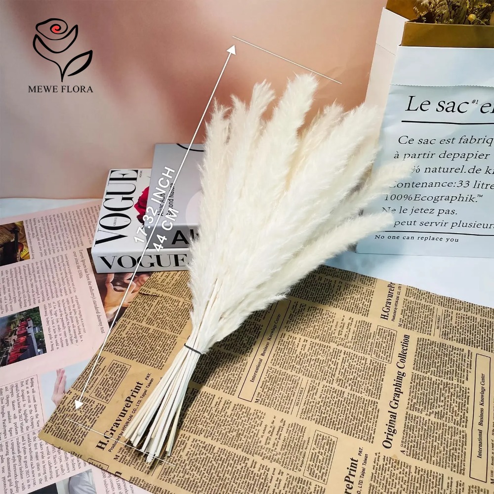 20 stuks Pluizig Pampasgras Ri - Dried Pampas Bundle recensie en prijs