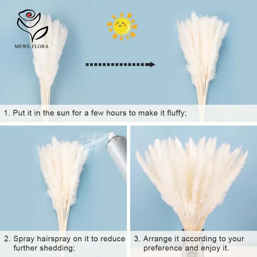 20 stuks Pluizig Pampasgras Ri - Dried Pampas Bundle recensie en prijs