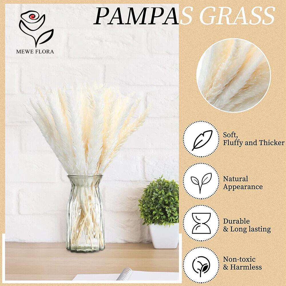 20 stuks Pluizig Pampasgras Ri - Dried Pampas Bundle recensie en prijs