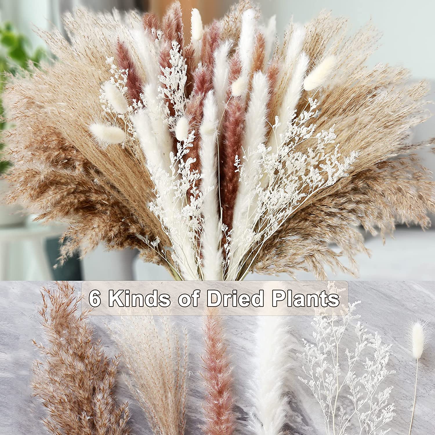 Huisdecoratie Gedroogde Plante - Dried Pampas Bundle recensie en prijs