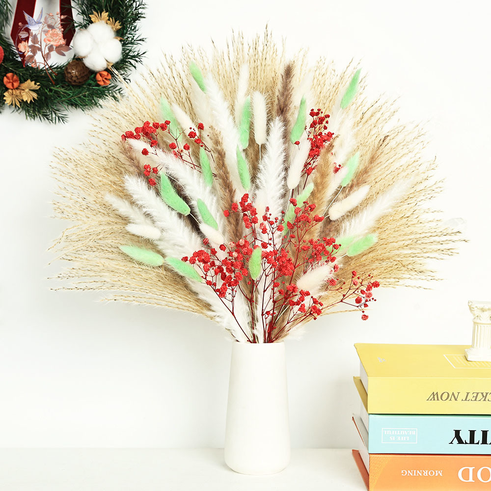 70 Stengels Pluizig Groen Rood - Dried Pampas Bundle recensie en prijs
