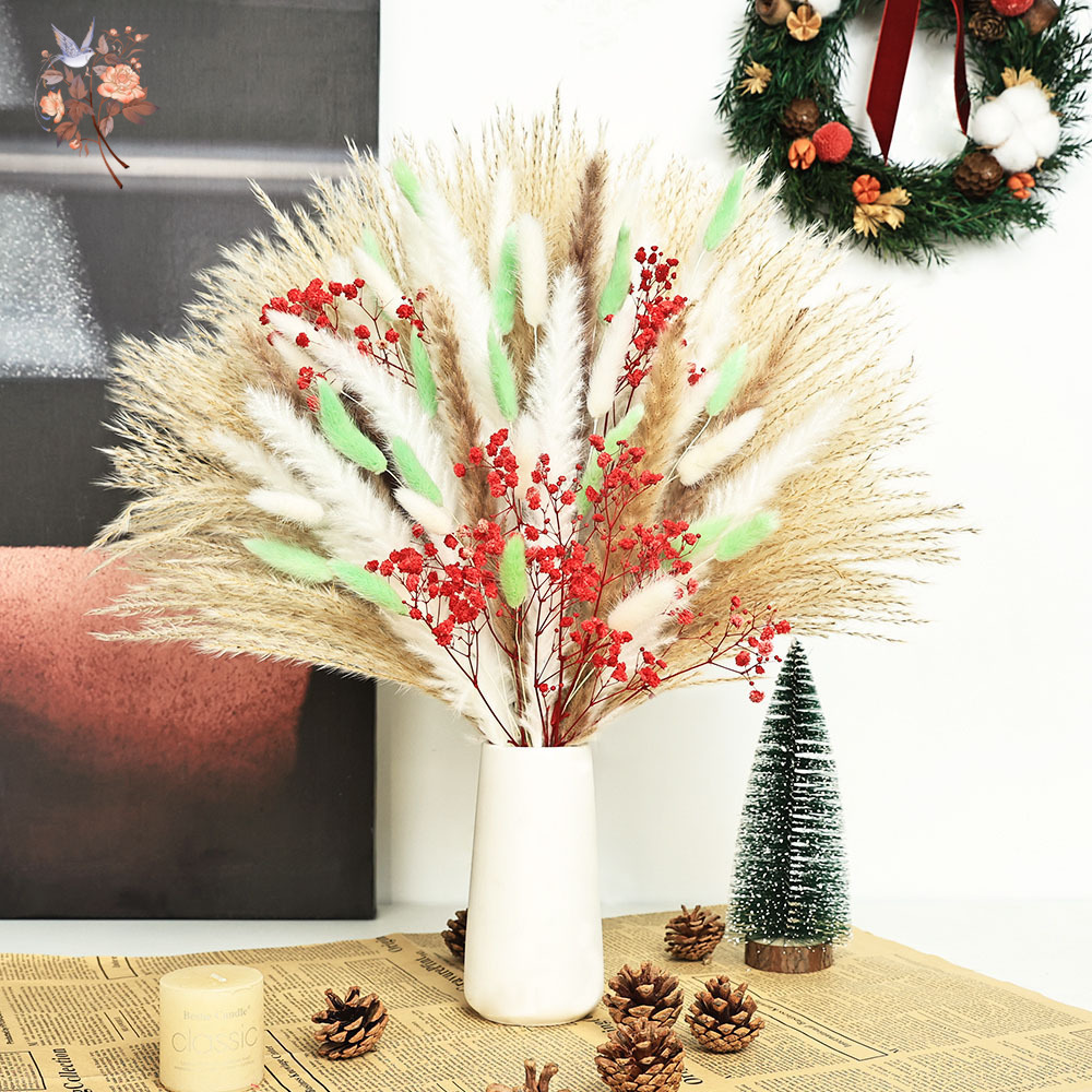 70 Stengels Pluizig Groen Rood - Dried Pampas Bundle recensie en prijs
