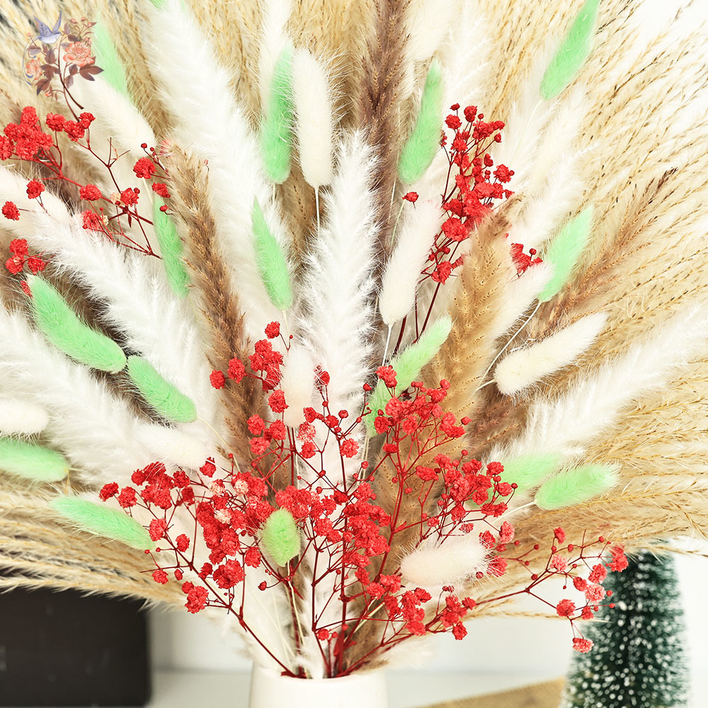 70 Stengels Pluizig Groen Rood - Dried Pampas Bundle recensie en prijs