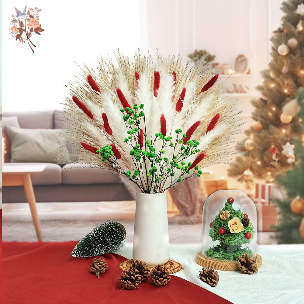 55pcs Gedroogde Bloemen Boeket - Dried Pampas Bundle recensie en prijs