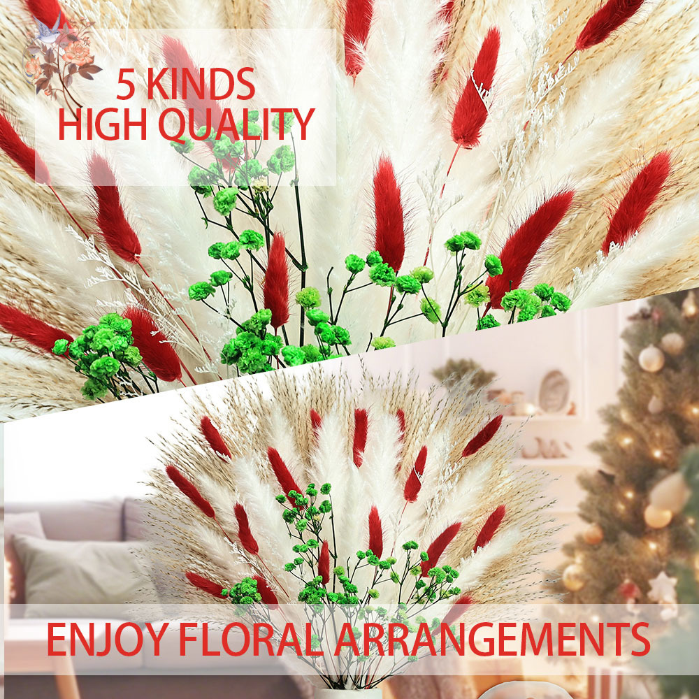 55pcs Gedroogde Bloemen Boeket - Dried Pampas Bundle recensie en prijs