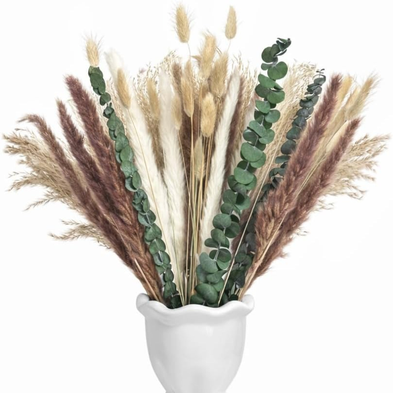 65 stuks DIY natuurlijke gedro - Dried Pampas Bundle recensie en prijs