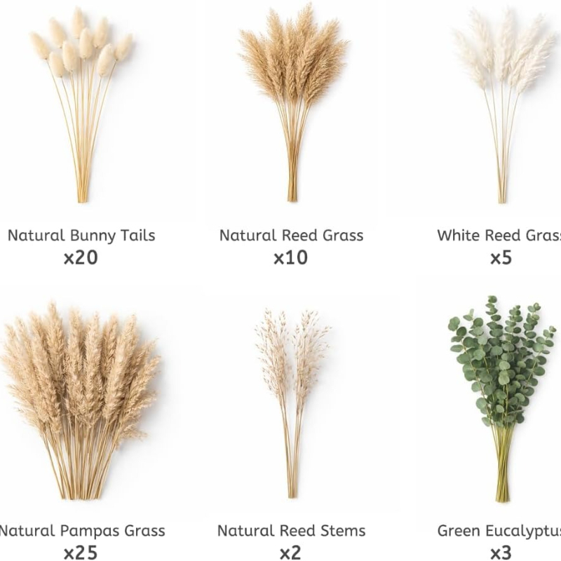 65 stuks DIY natuurlijke gedro - Dried Pampas Bundle recensie en prijs
