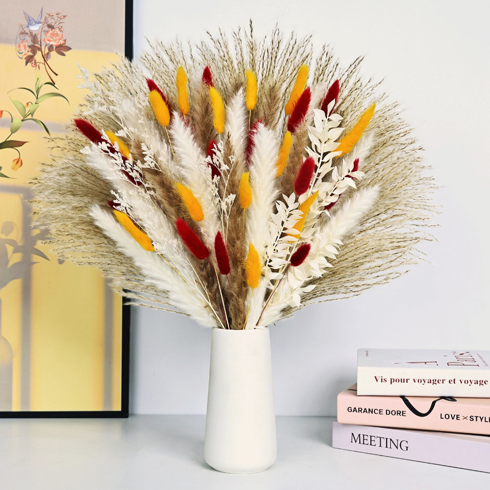 70 Stengels Natuurlijke Pluizi - Dried Pampas Bundle recensie en prijs