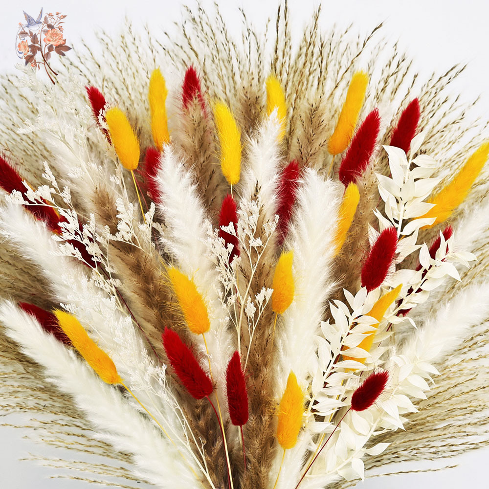 70 Stengels Natuurlijke Pluizi - Dried Pampas Bundle recensie en prijs