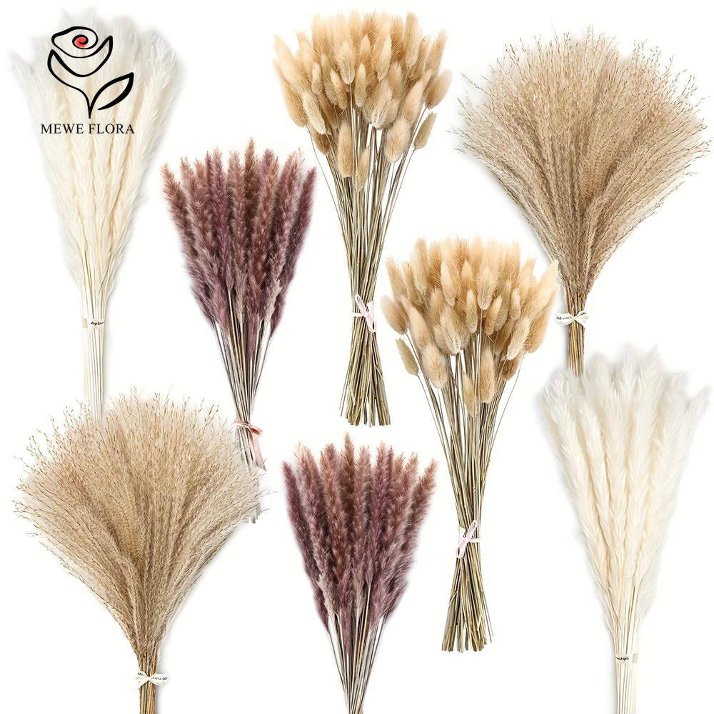 200 Stuks Gedroogde Pampas Bun - Dried Pampas Bundle recensie en prijs