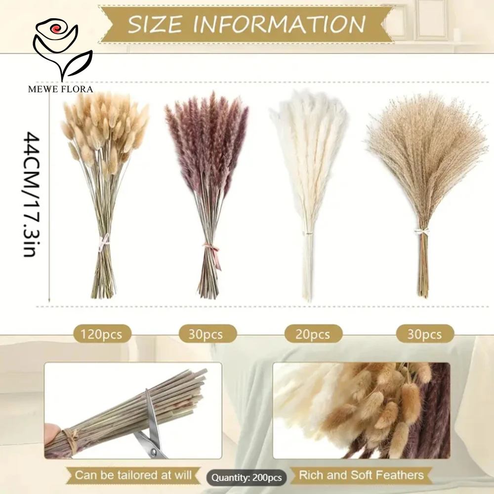 200 Stuks Gedroogde Pampas Bun - Dried Pampas Bundle recensie en prijs