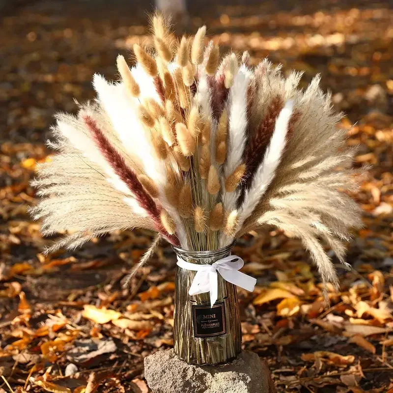 200 Stuks Gedroogde Pampas Bun - Dried Pampas Bundle recensie en prijs